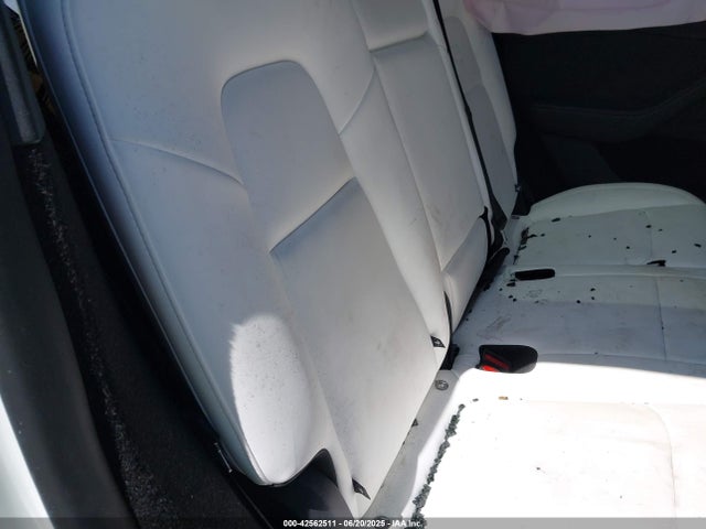 2025 TESLA MODEL Y 7SAYGDED7SA370741 Photo 7