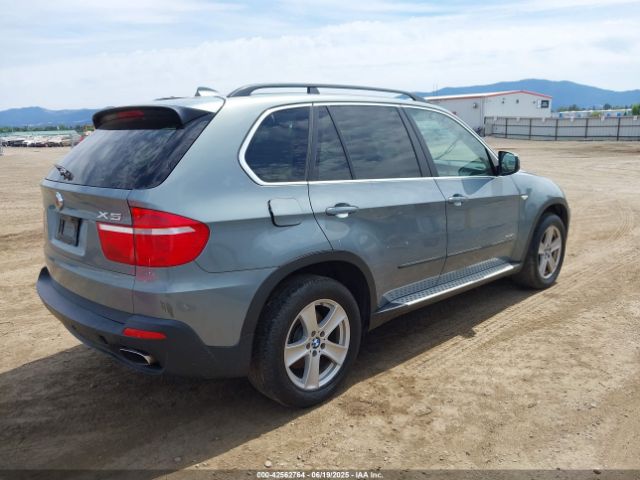 2009 BMW X5 5UXFE83599L308702 Photo 3
