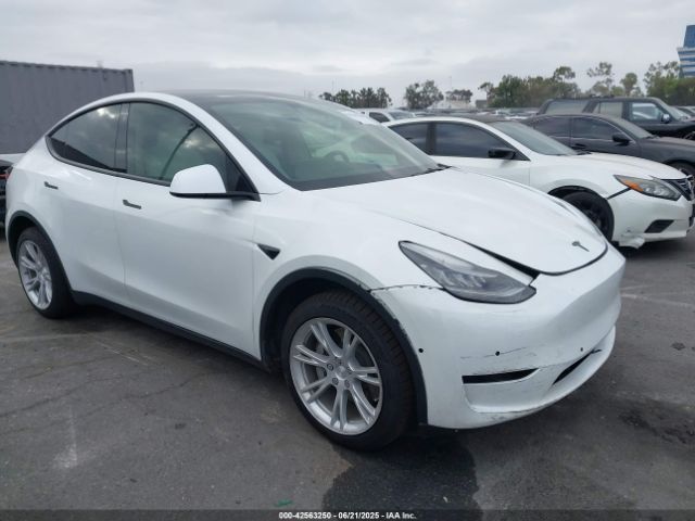 2021 TESLA MODEL Y 5YJYGDEE1MF152256
