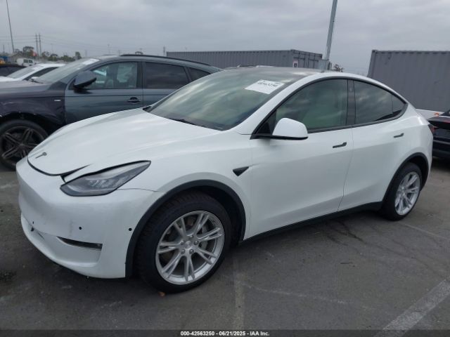 2021 TESLA MODEL Y 5YJYGDEE1MF152256 Photo 1