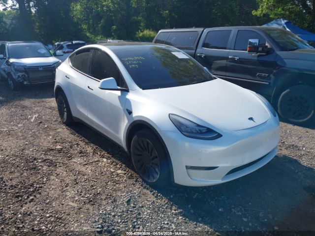 2021 TESLA MODEL Y 5YJYGDEE4MF184389
