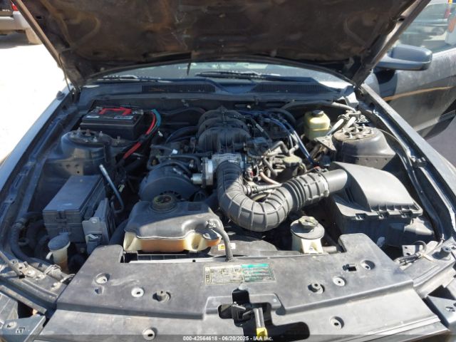 2005 FORD MUSTANG 1ZVFT84N855209094 Photo 9