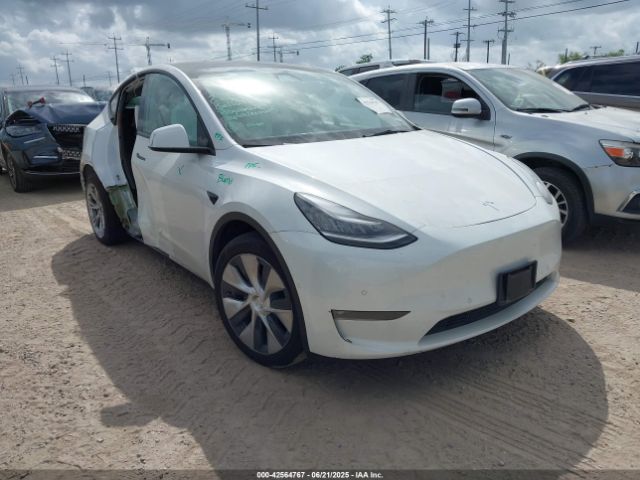 2021 TESLA MODEL Y 5YJYGAEE5MF247174
