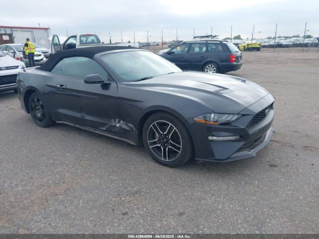 2022 FORD MUSTANG 1FATP8UHXN5124459