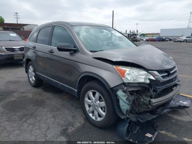Auction sale of the 2011 Honda Cr-v Se, vin: 5J6RE3H46BL060121, lot number: 42565715