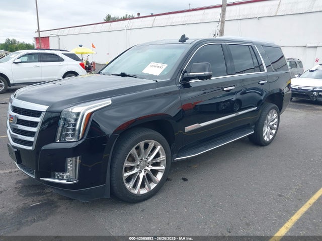 2019 CADILLAC ESCALADE 1GYS4CKJ8KR155280 Photo 1