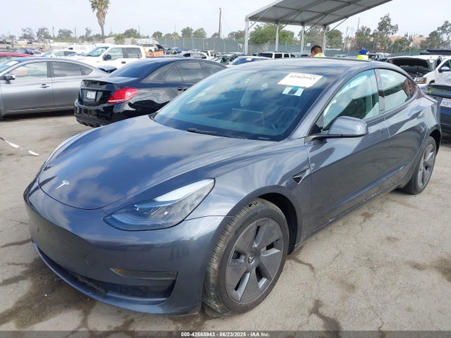 Tesla 2023 2023 5YJ3E1EA3PF711502 Image 2
