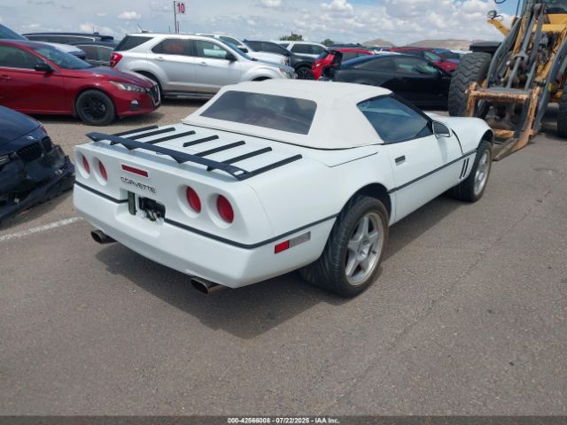 1990 CHEVROLET CORVETTE 1G1YY3384L5108491 Photo 3