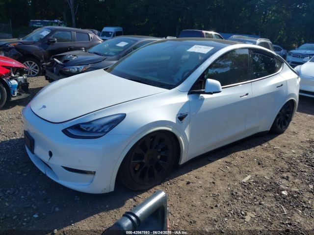 2021 TESLA MODEL Y 5YJYGDEE2MF112381 Photo 1