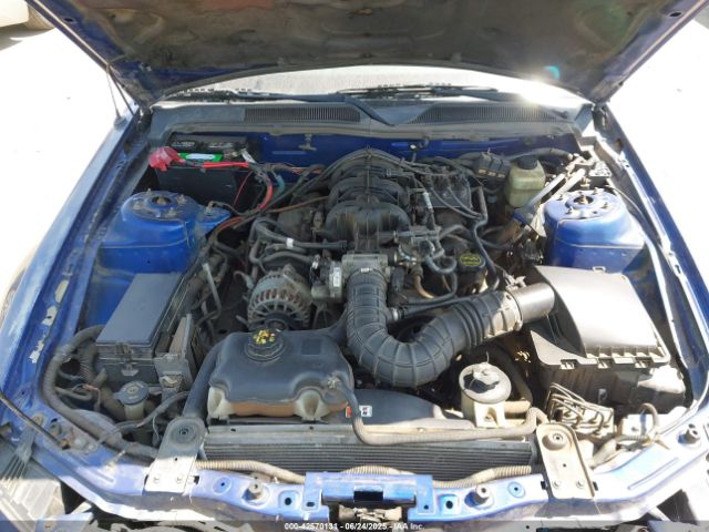2005 FORD MUSTANG 1ZVFT80N355260024 Photo 9
