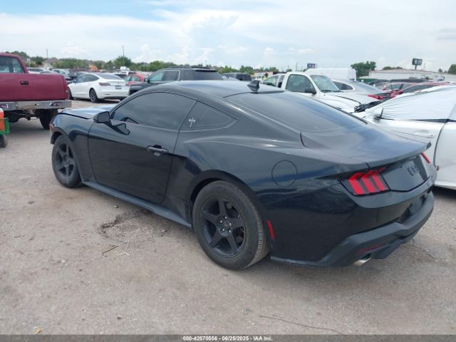 2024 FORD MUSTANG 1FA6P8THXR5108721 Photo 2