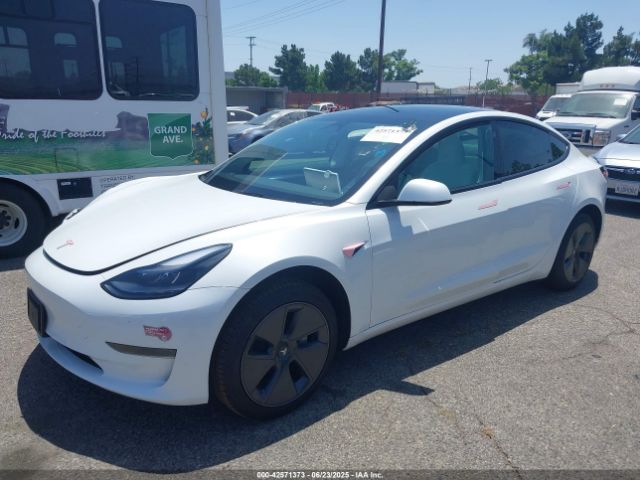 2023 TESLA MODEL 3 5YJ3E1EA6PF603133 Photo 1