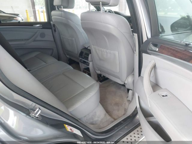 2009 BMW X5 5UXFE43589L261803 Photo 7