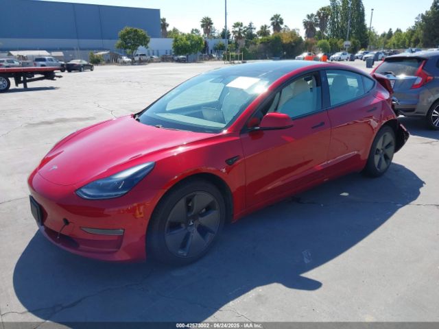 2021 TESLA MODEL 3 5YJ3E1EB5MF004244 Photo 1