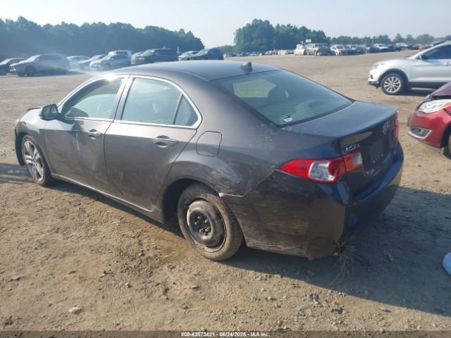 2010 ACURA TSX JH4CU4F61AC002987 Photo 2