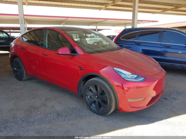2023 TESLA MODEL Y 7SAYGDEEXPA031553