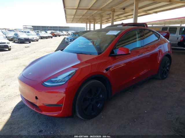 2023 TESLA MODEL Y 7SAYGDEEXPA031553 Photo 1