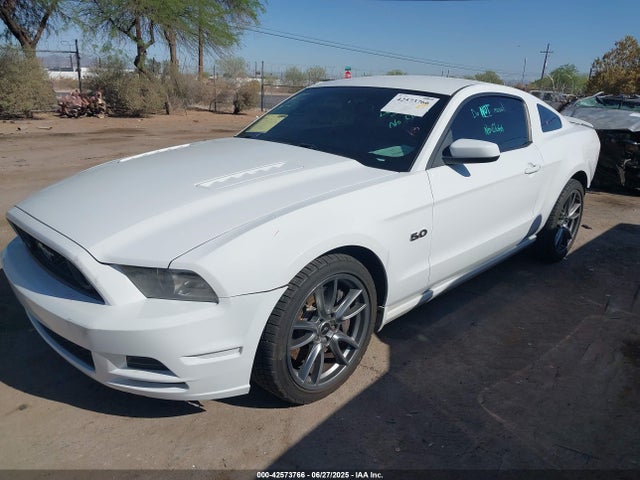 1ZVBP8CF5E5256211 Ford 2014