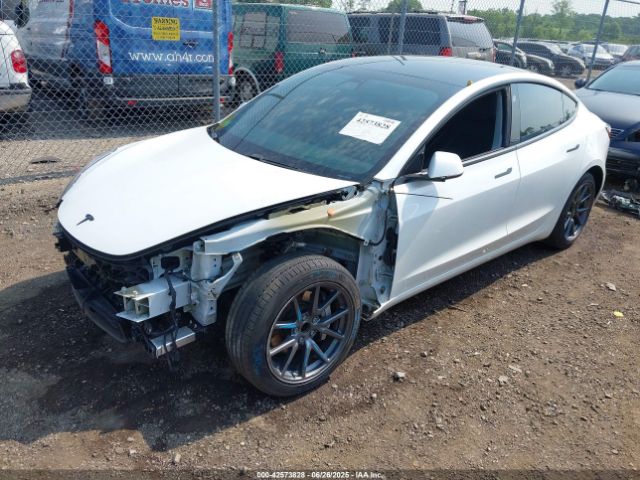 2021 TESLA MODEL 3 5YJ3E1EA2MF054168 Photo 1
