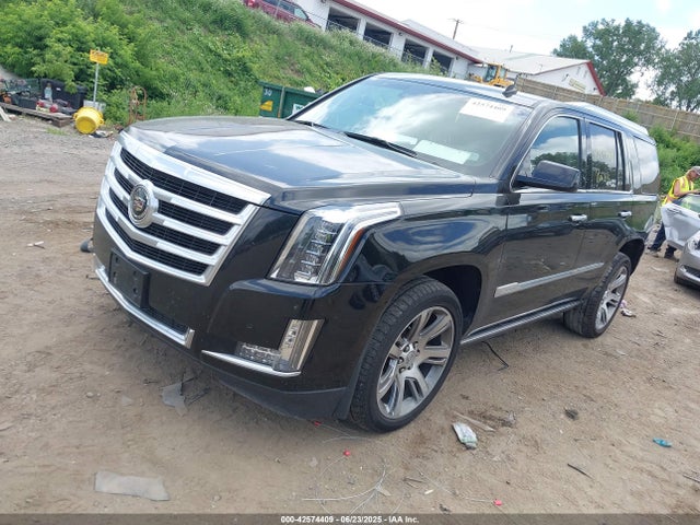 2015 CADILLAC ESCALADE 1GYS4CKJ9FR254258 Photo 1