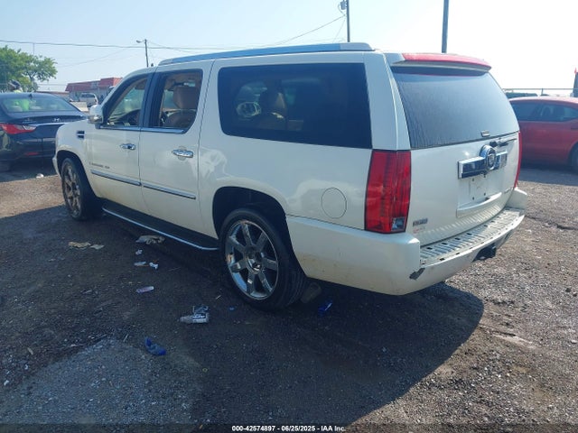 2009 CADILLAC ESCALADE ESV 1GYFK26219R283164 Photo 2