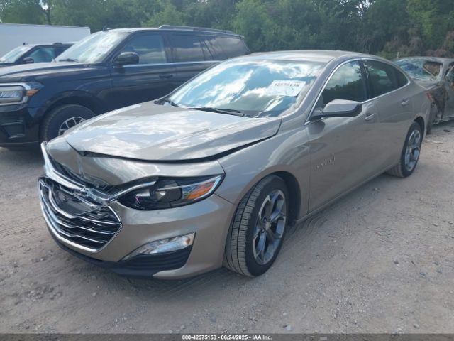 1G1ZD5ST6RF142484 Chevrolet lfv