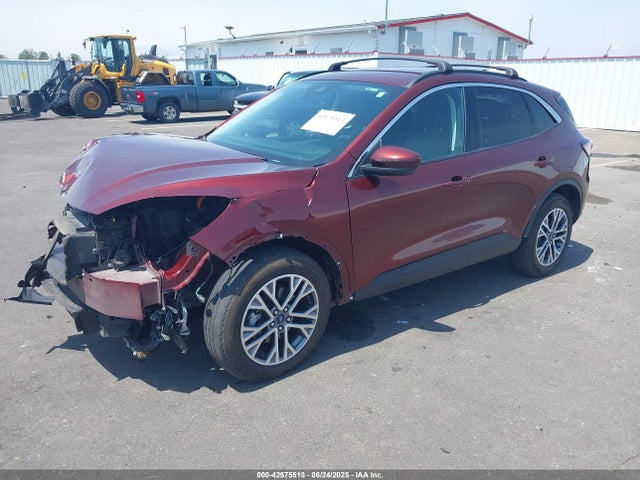 1FMCU0CZ0MUA01879 Ford hev/phev