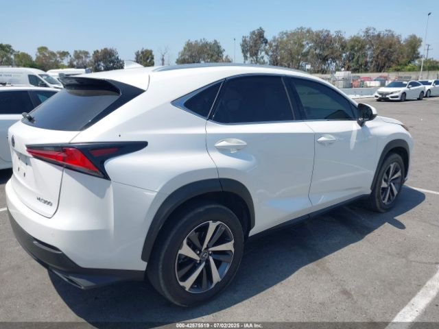 2021 LEXUS NX 300 JTJGARBZ7M5028332 Photo 3