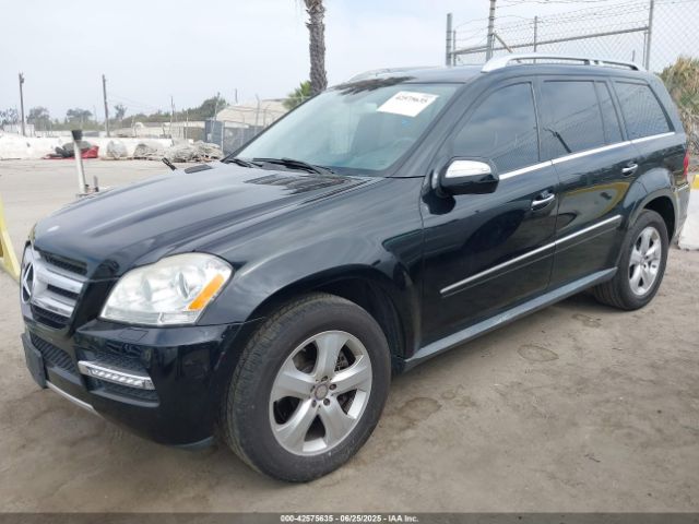 2010 MERCEDES-BENZ GL 450 4JGBF7BE8AA604072 Photo 1