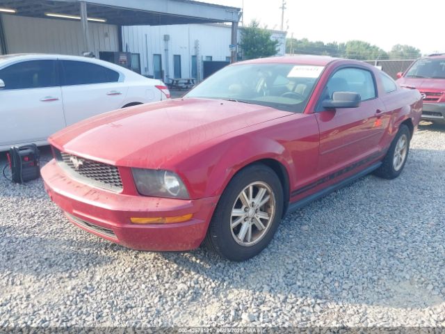2008 FORD MUSTANG 1ZVHT80N085207259 Photo 1