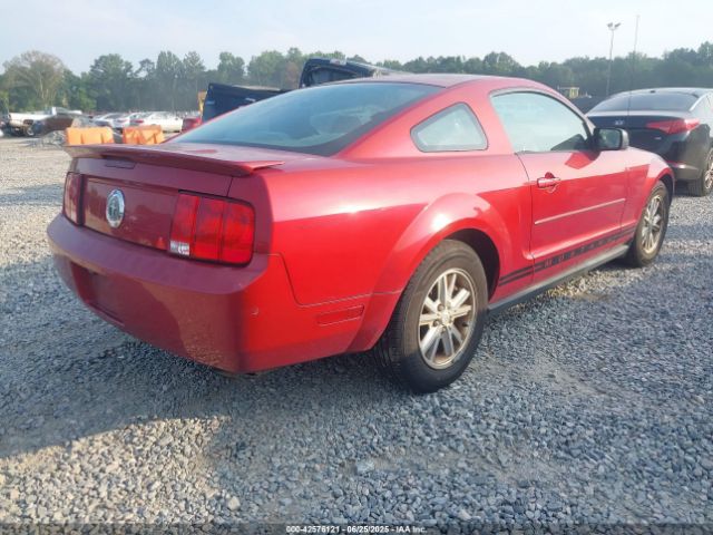 2008 FORD MUSTANG 1ZVHT80N085207259 Photo 3
