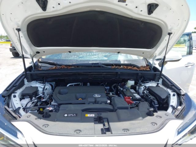 2025 LEXUS NX 250 2T2GDCAZ5SC025045 Photo 9