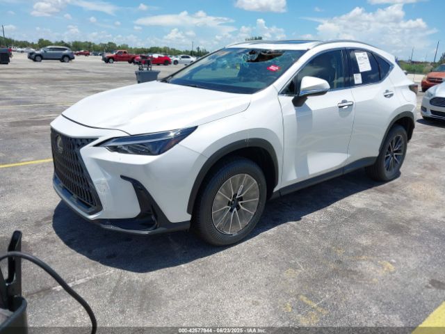 2025 LEXUS NX 250 2T2GDCAZ5SC025045 Photo 1