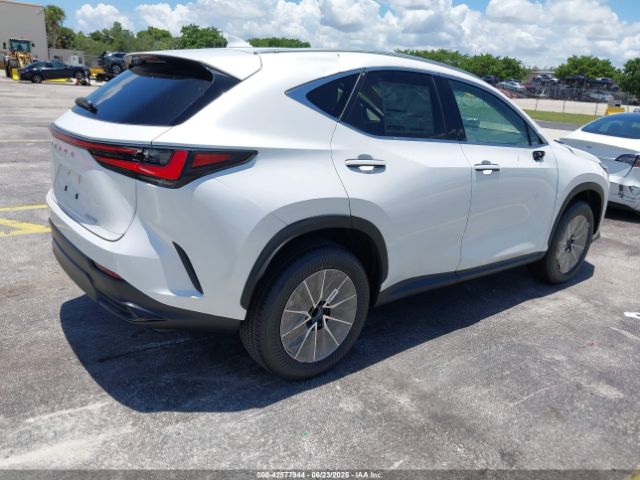 2025 LEXUS NX 250 2T2GDCAZ5SC025045 Photo 3