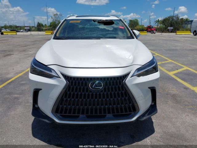 2025 LEXUS NX 250 2T2GDCAZ5SC025045 Photo 5
