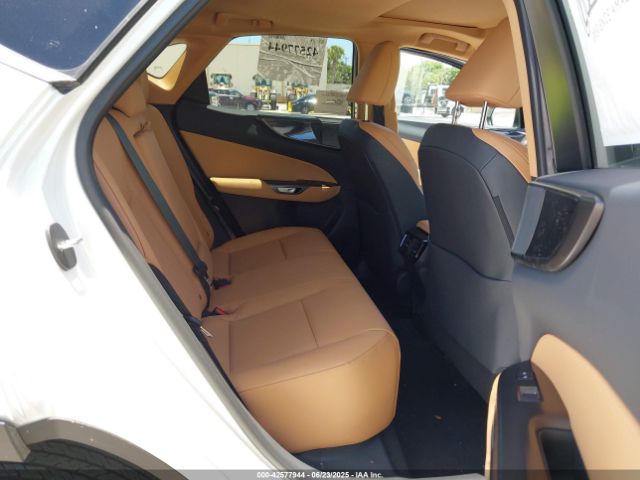 2025 LEXUS NX 250 2T2GDCAZ5SC025045 Photo 7