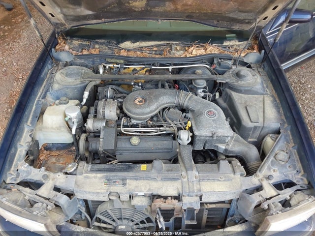 1995 CADILLAC DEVILLE 1G6KD52B9SU286292 Photo 9