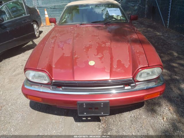 1994 JAGUAR XJS SAJNX2341RC194160 Photo 5
