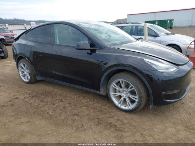 2020 TESLA MODEL Y 5YJYGDEE6LF017451