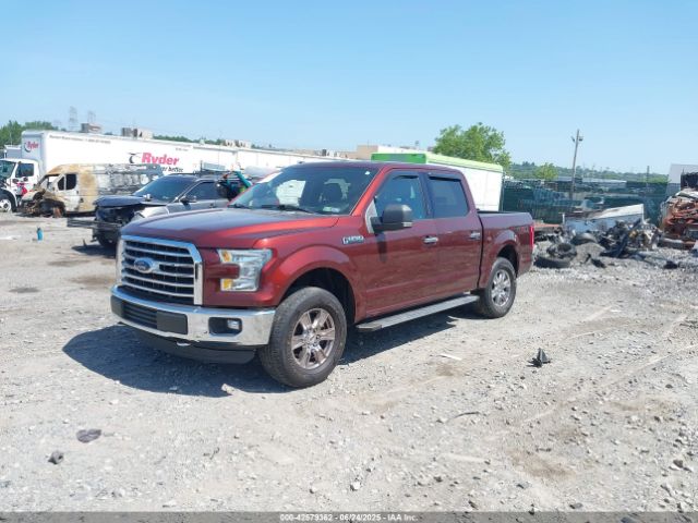 2016 FORD F-150 1FTEW1EF2GFD09497 Photo 1