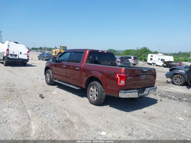 2016 FORD F-150 1FTEW1EF2GFD09497 Photo 2