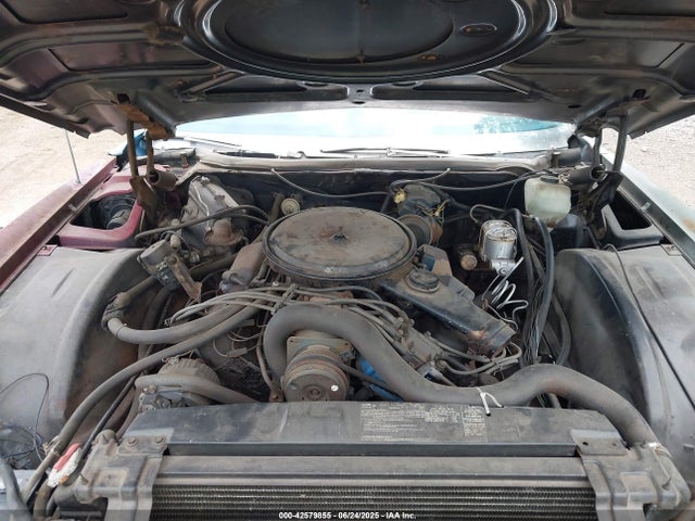 1976 CADILLAC ELDORADO 6L67S6Q111835 Photo 9