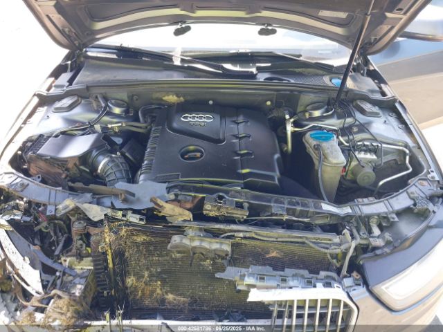 2013 AUDI ALLROAD WA19FAFL9DA215710 Photo 9