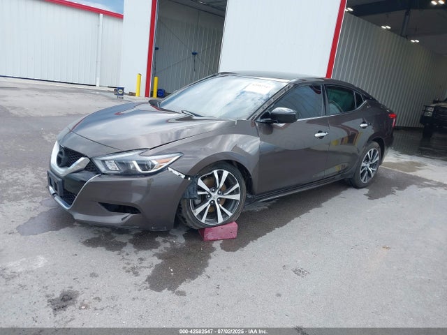 1N4AA6AP6GC445454 Nissan Maxima
