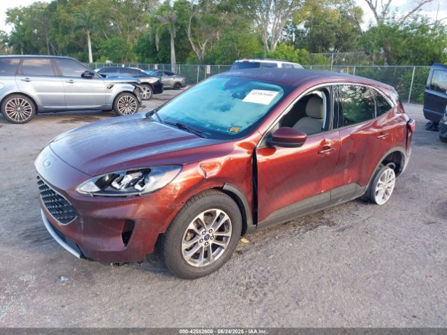 2021 FORD ESCAPE 1FMCU0G61MUA61816 Photo 1