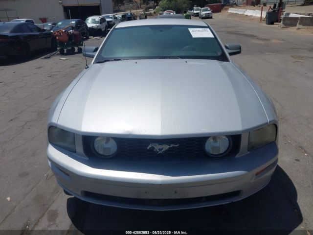 2006 FORD MUSTANG 1ZVHT82H365238039 Photo 5