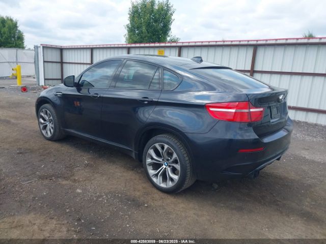 2013 BMW X6 M 5YMGZ0C55DLL29767 Photo 2