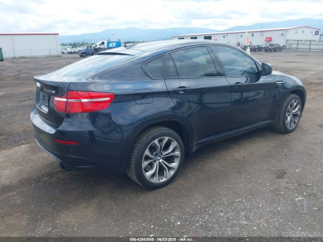 2013 BMW X6 M 5YMGZ0C55DLL29767 Photo 3