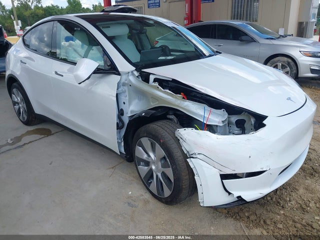 2023 TESLA MODEL Y 7SAYGDEE1PF599774 Photo 0