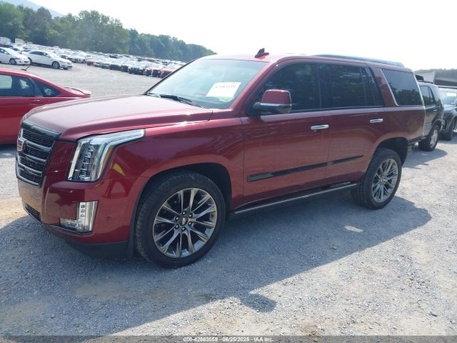 2020 CADILLAC ESCALADE 1GYS4CKJ3LR253540 Photo 1